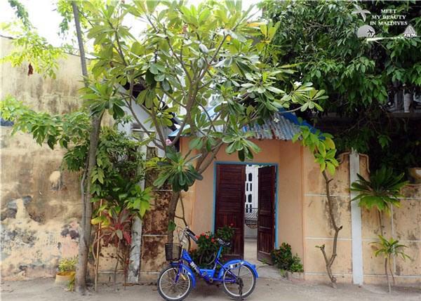 马尔代夫一价全包岛满月岛,马代满月岛浮潜怎么样