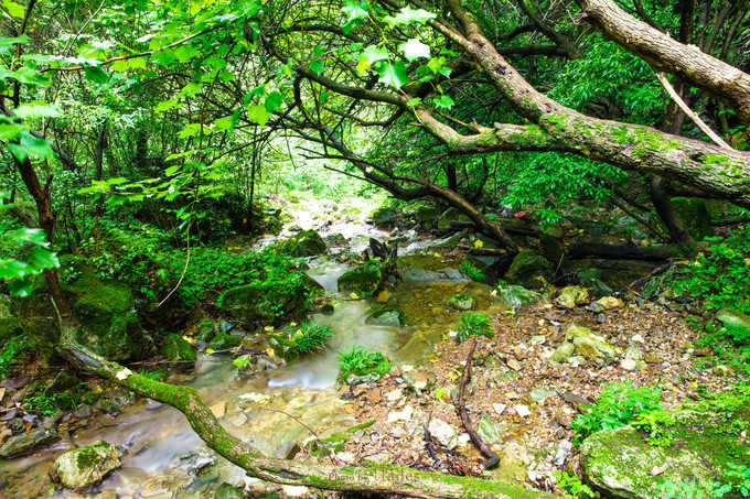 四川古蜀寻芳之幻梦朝天游玩攻略,都江堰古蜀寻芳