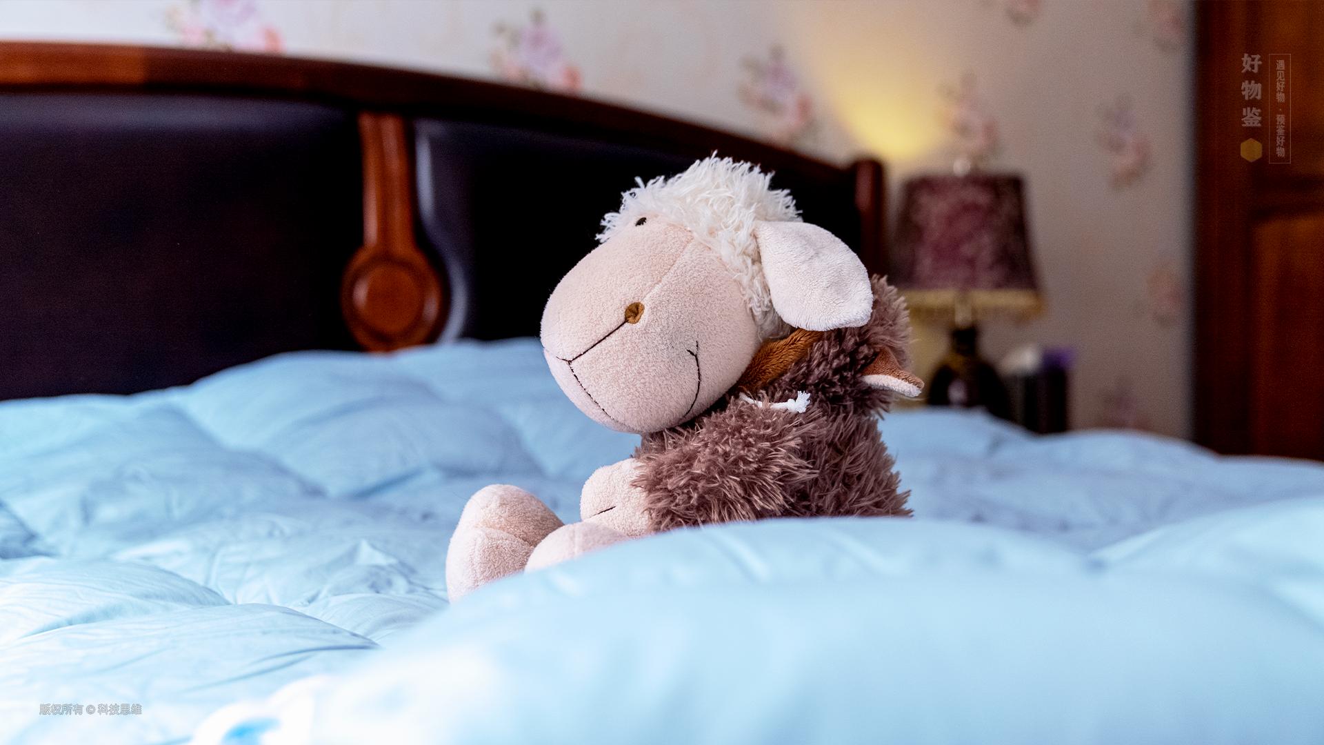 老罗鹅绒被推荐,网易严选鹅绒被测评