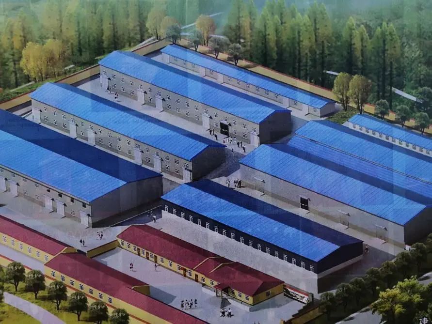 黑龙江省硬核标准,黑龙江硬核报告