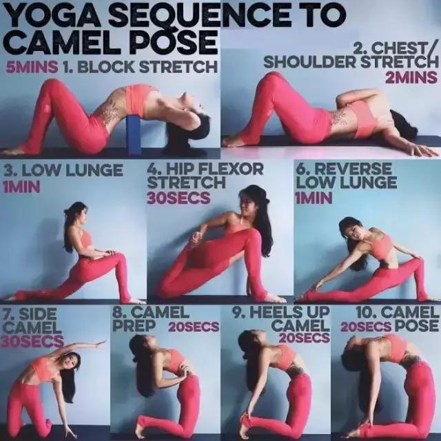 零基础哈他瑜伽体式大全口令讲解,哈他正位瑜伽体式串联90分钟编排