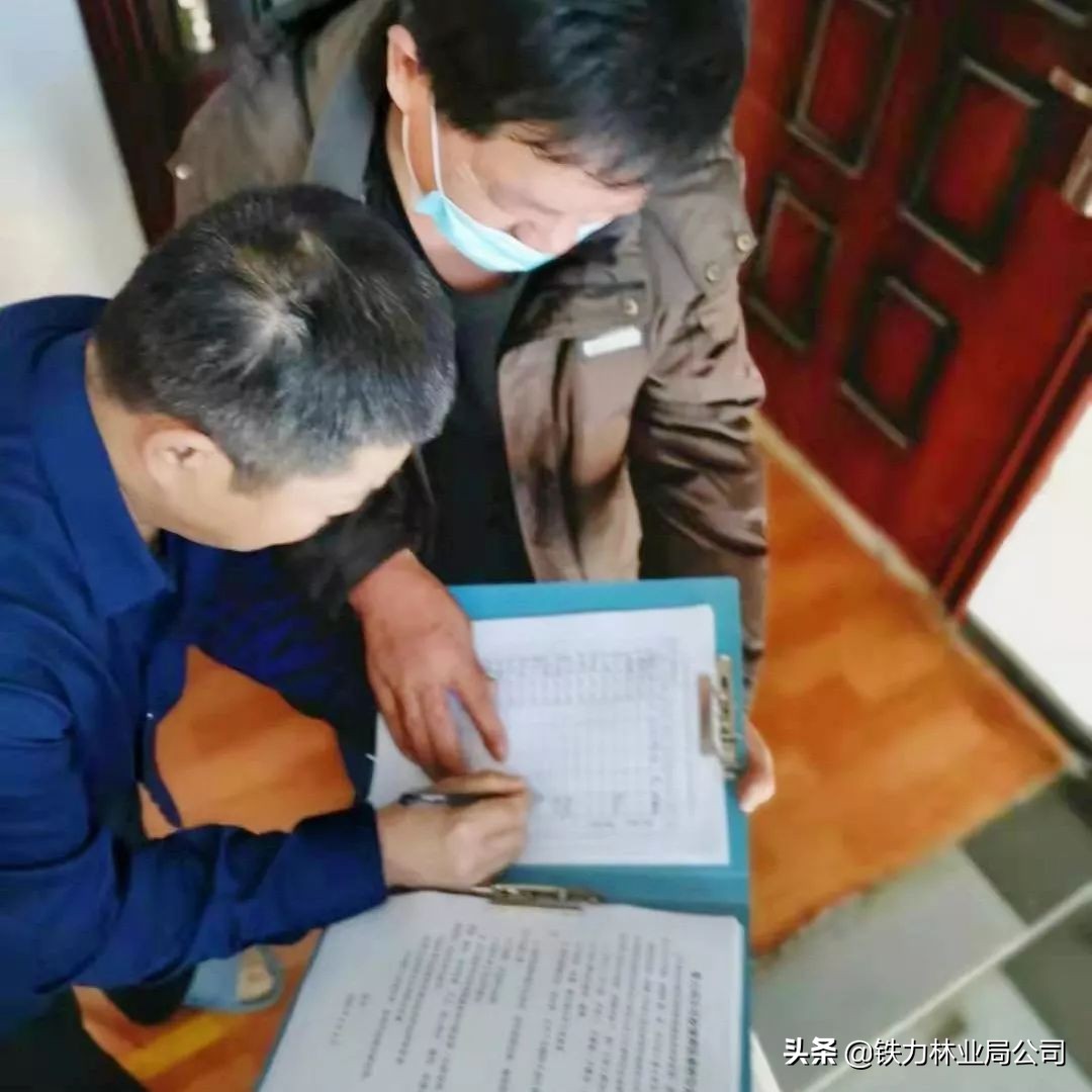 伊春森工铁力林业局最新消息,伊春森工铁力林业局有限责任公司