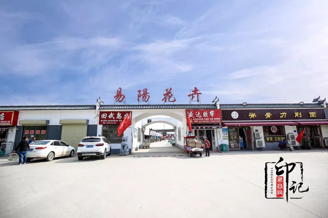 商丘道北花鸟批发市场,商丘花鸟宠物市场