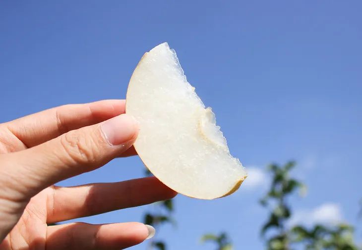 梨子界中的“扛把子”，越低调越红！咬一口就爆汁，一水的甜呀