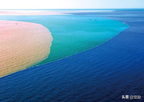 东营市人民医院挂号,东营市医院床位规模排名