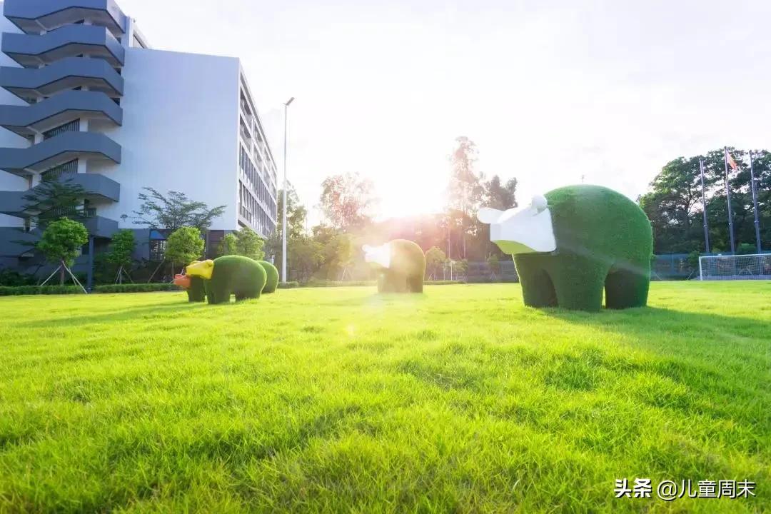 南山外国语科苑小学深圳排名,深圳南山麒麟小学最新排名