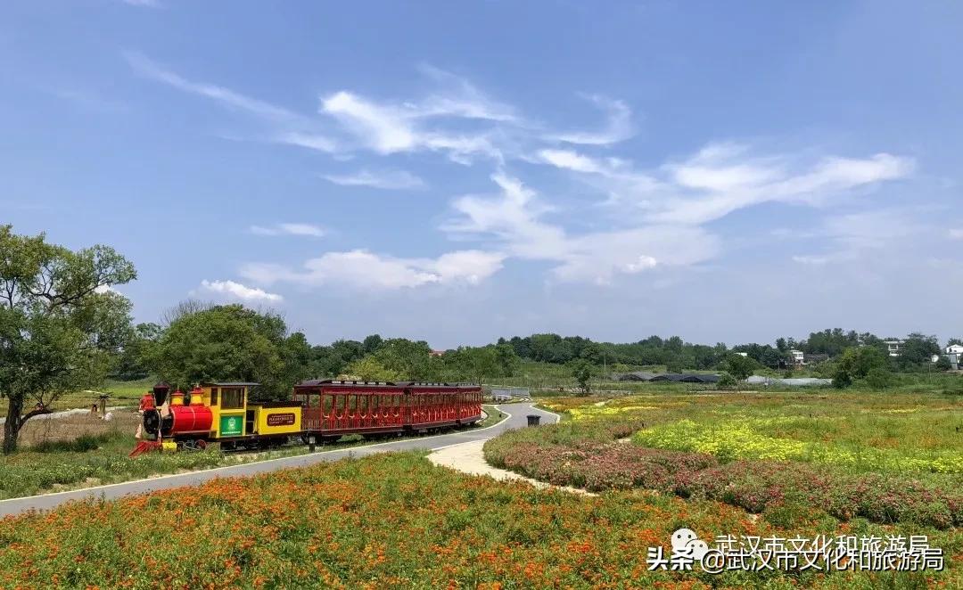 武汉中秋旅游攻略,武汉中秋节适合游玩的地方