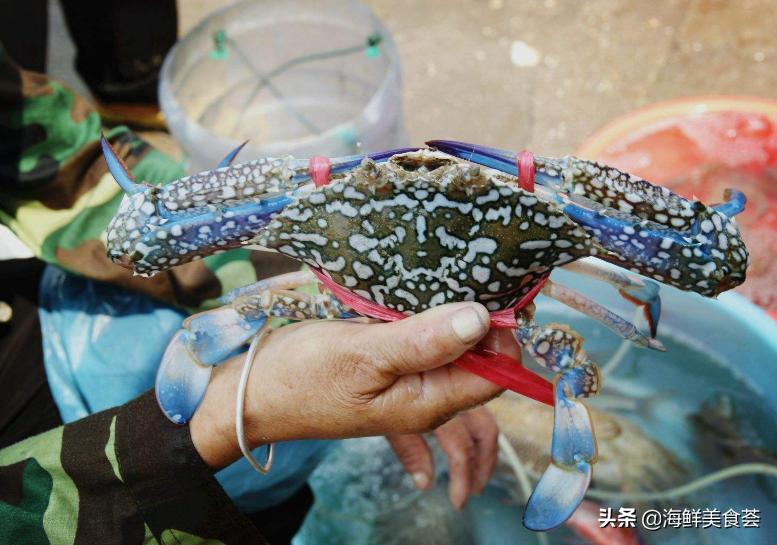 沿海最好吃的菜,好吃的小海鲜都有哪些