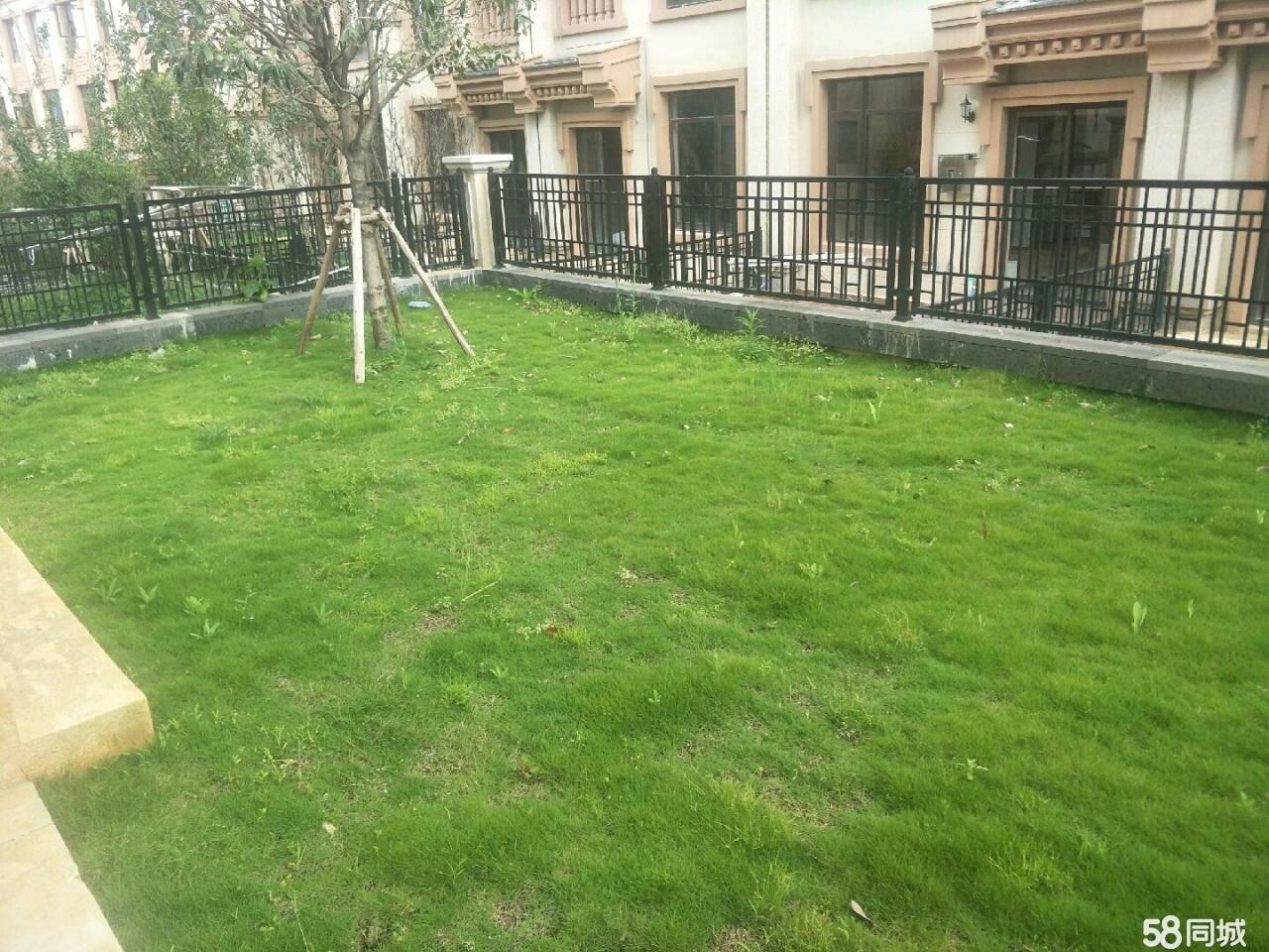 看中一套房怎么谈,舒适型一室两厅最佳户型图