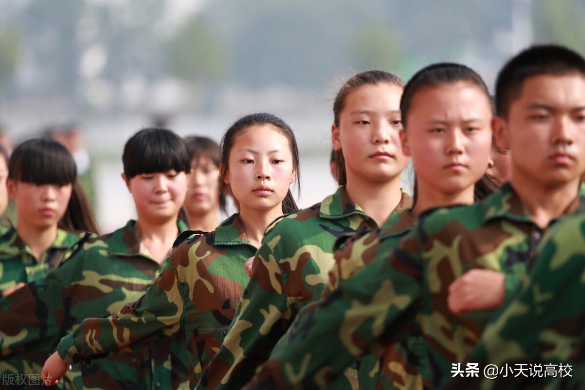 高二分科到底是历史还是物理,高一选物理历史哪个好