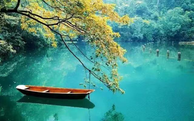 期货执行力的重要性,期货操盘规则和执行力