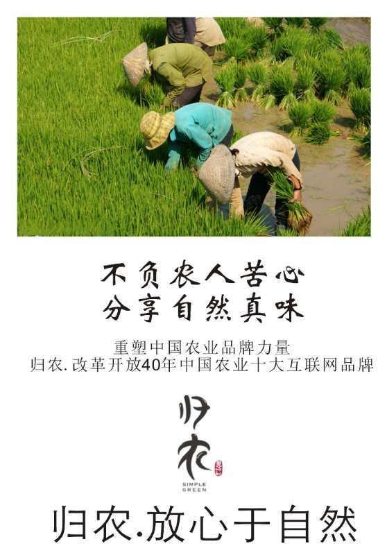 中科院博士最终去向,中科院博士离职后来去哪