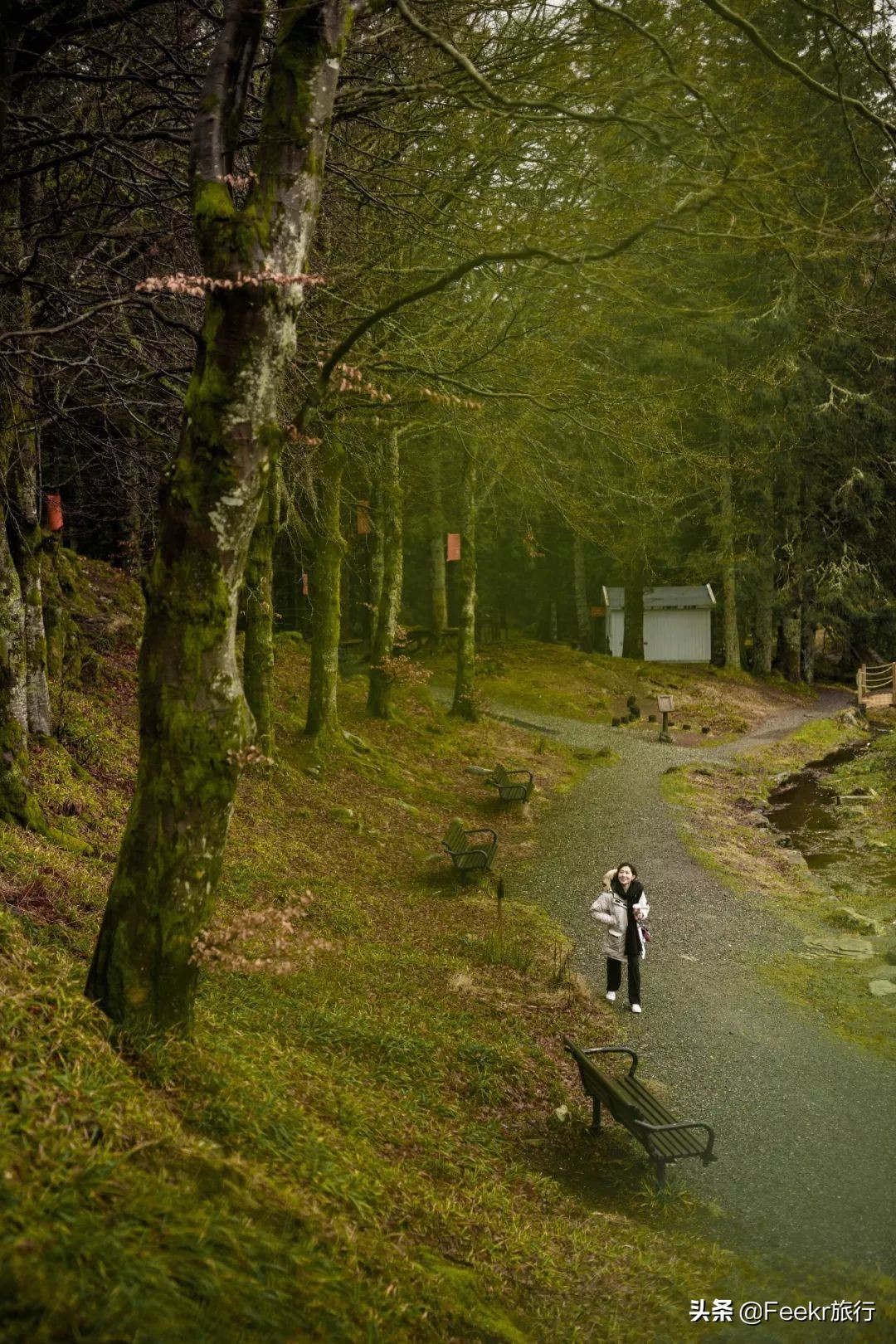 王珞丹35岁庆生照,王珞丹的生日是几月几号