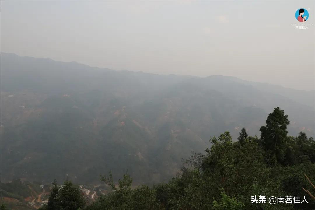 冰岛五寨糯五价格,冰岛五寨谁最有性价比