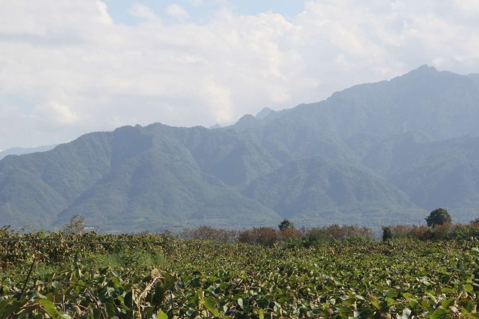 眉县猕猴桃电商企业,眉县国家级猕猴桃产业园物流