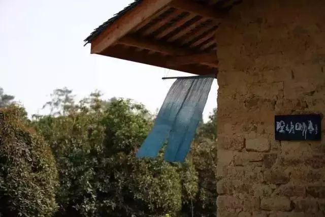 十年前的美女主播去哪了,十年前离开央视的女主持人