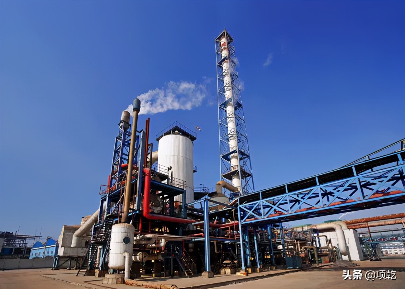 断尾求生仍然难逃一劫,断尾求生完整版