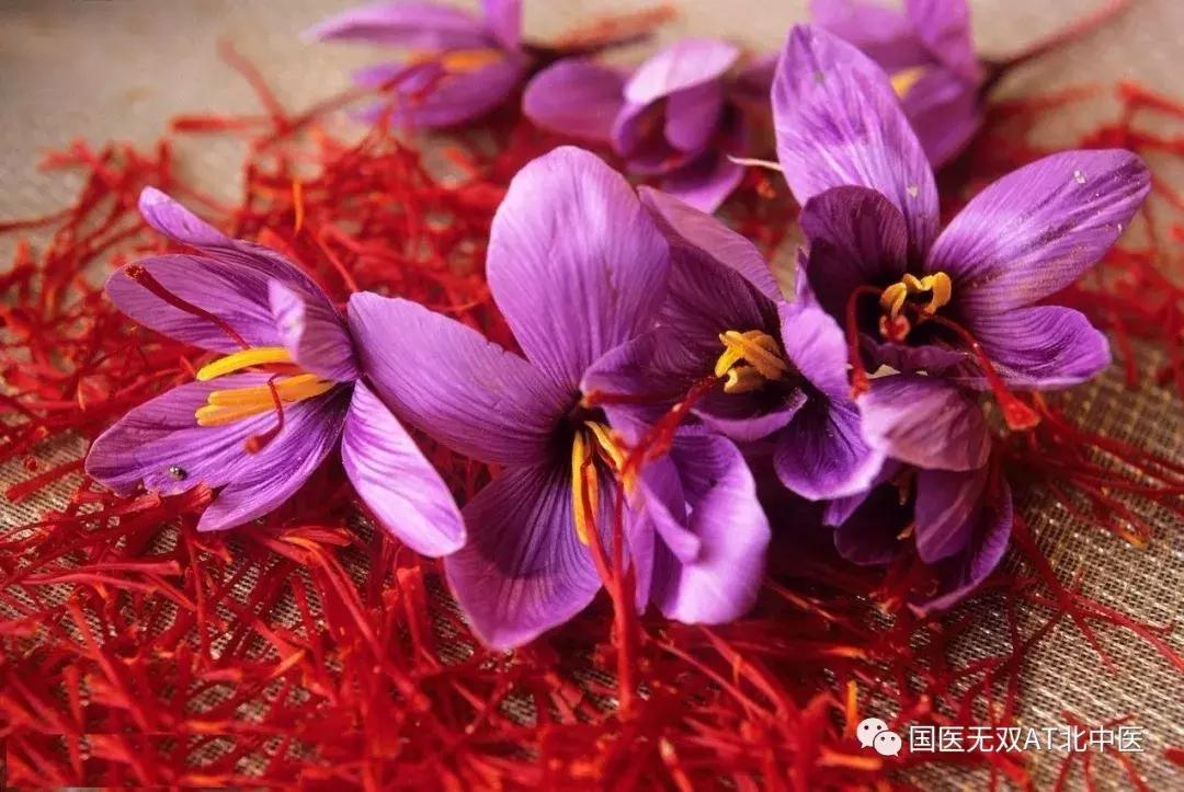 活血化瘀玫瑰花好还是藏红花好,藏红花达到活血化瘀功效用多少