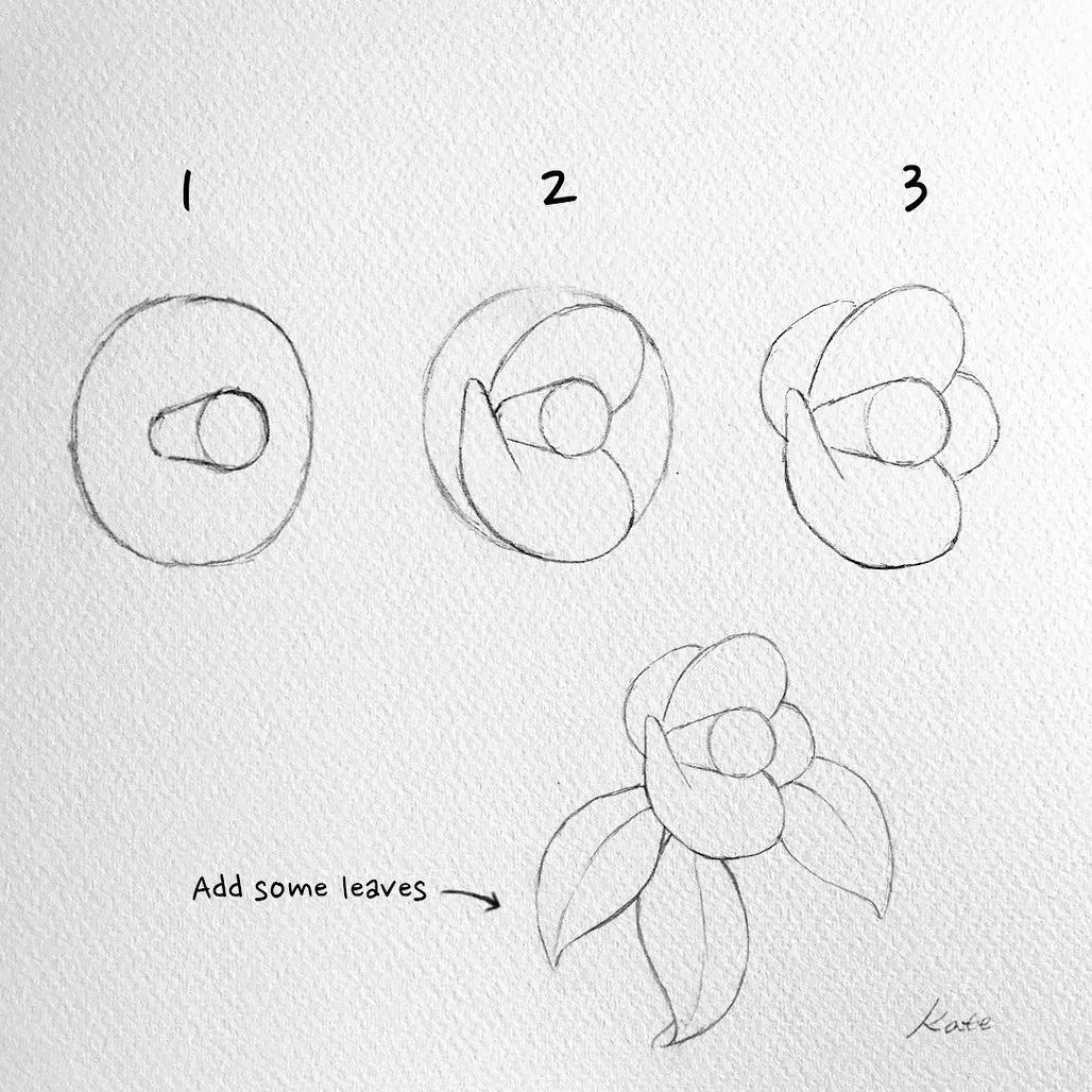 一分钟教你简单画花,简单的花卉图教程