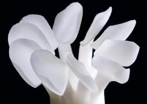 瓷贴面微笑的力量,局部瓷贴面