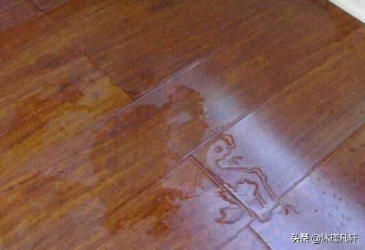 木地板受潮了有虫子,木地板受潮会长虫吗