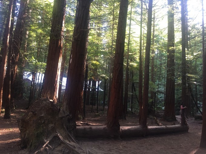 让你不出国就可以拍出欧洲即视感,让你不出家门就能看到江南的美景