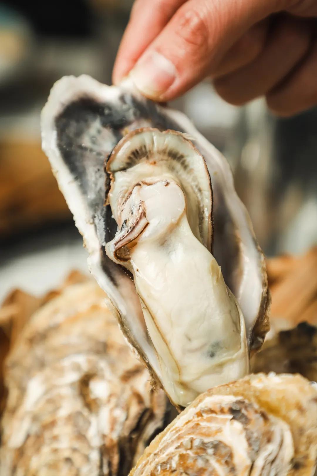 佛山禅城粤菜探店,佛山这家抵食街坊粤菜你吃过吗