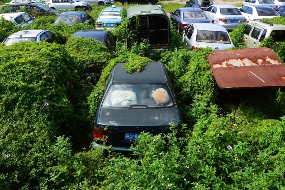 报废车最新处理办法,报废车需要去哪里处理