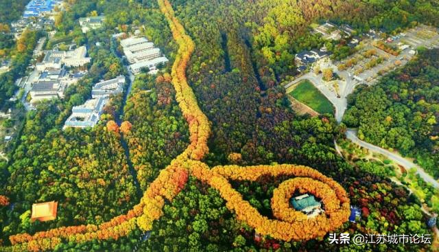 台湾学生拍电影,台湾学生南京