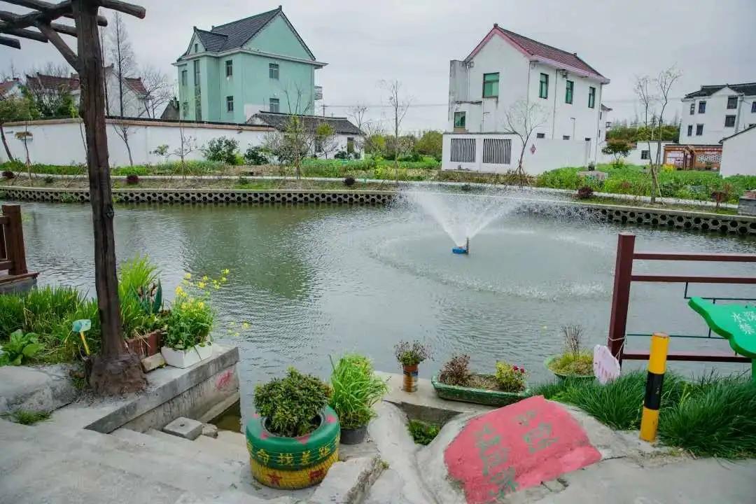 浙江平湖：“三大战役”力推农村环境全域秀美