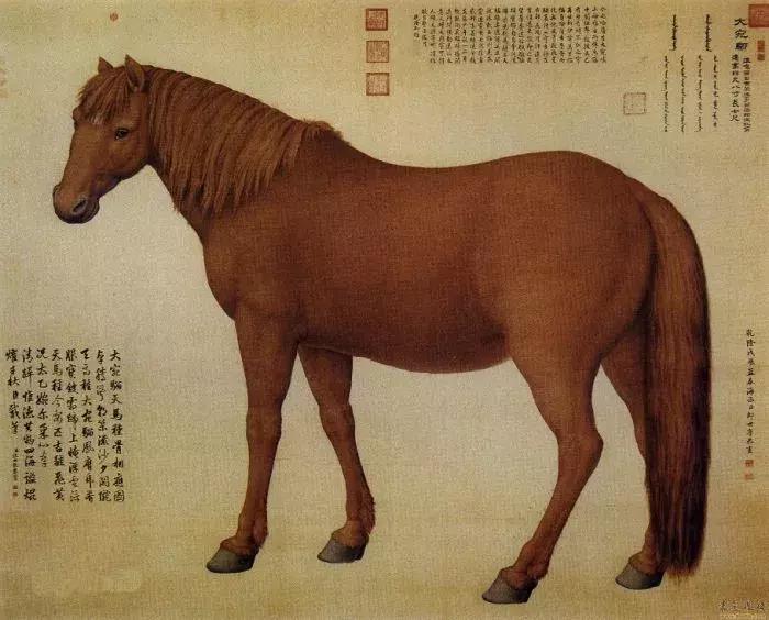 天马西来：游走在神话与真实之间的汗血宝马