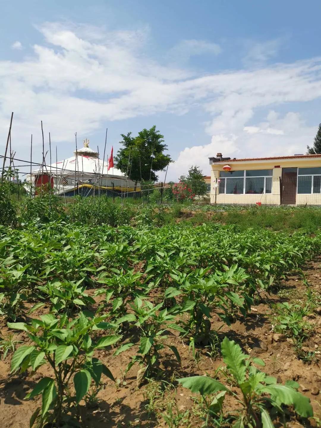 过五一，就来“农味儿十足”黄合少！