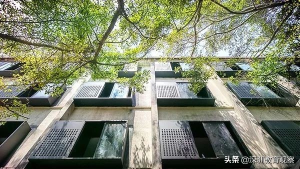 走名校vol.8|三年，明德国际体系走出怎样一条新路？