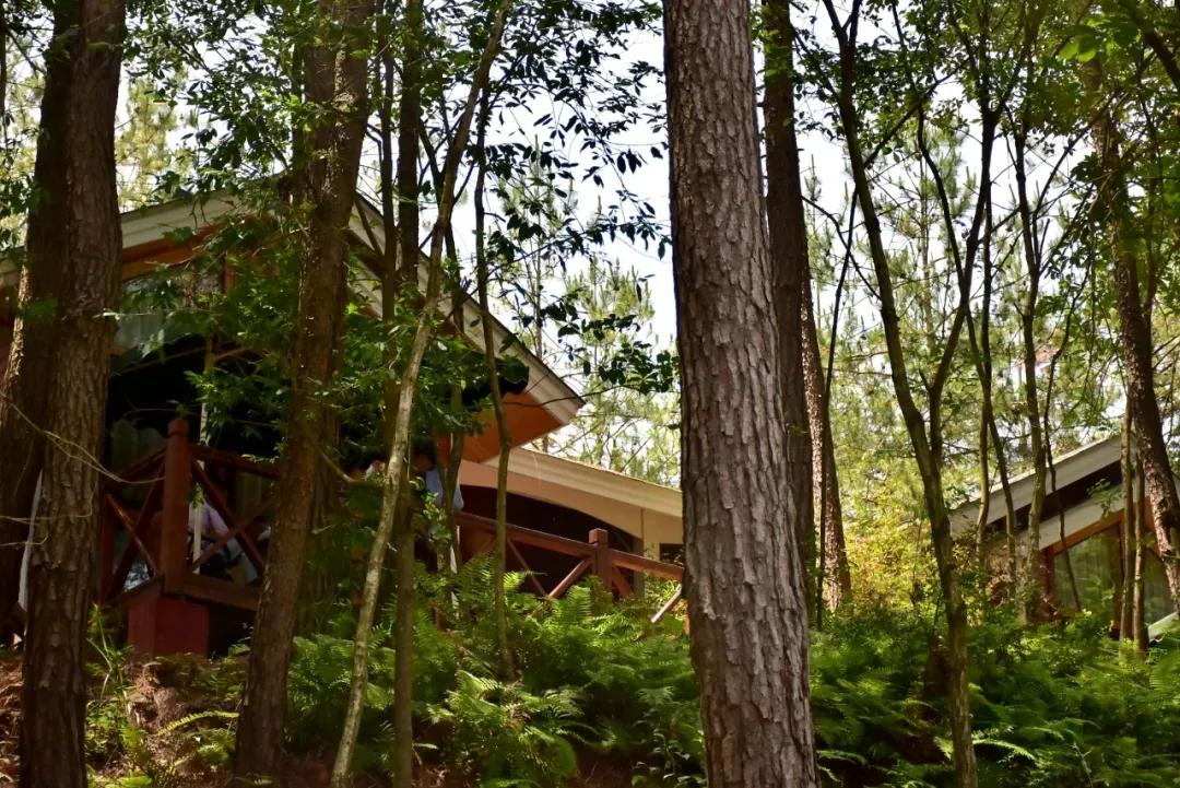 闲坐凉亭、徒步森林、畅快橡皮艇，快来苍溪纳凉避暑~