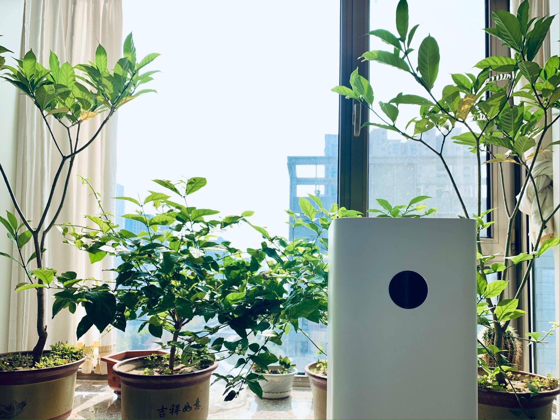 空气净化器检测空气质量原理,飞利浦空气净化器4076原理