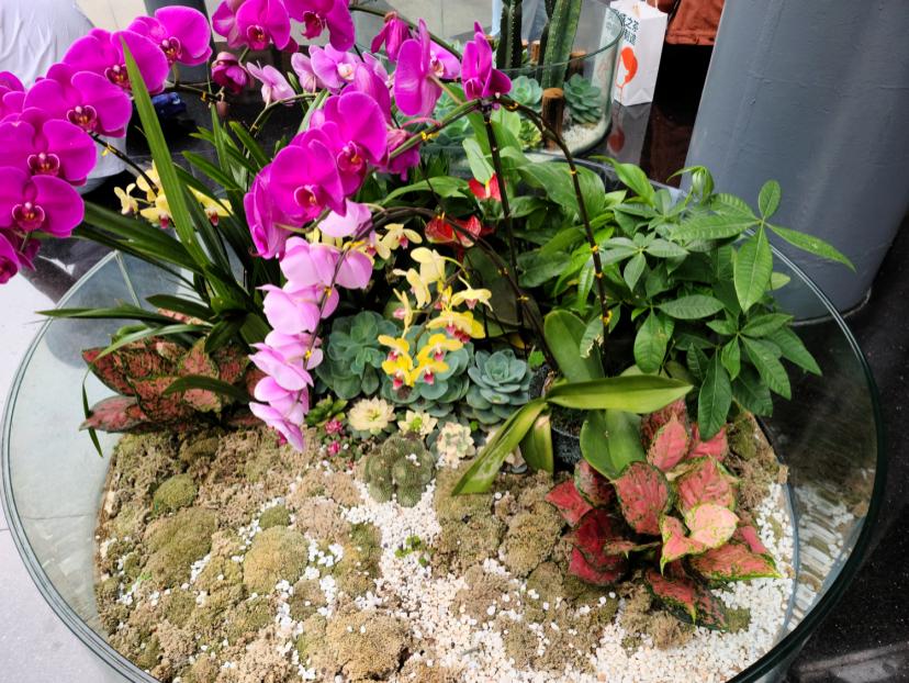 三星s20最新深度测评,三星s20ultra详细测评