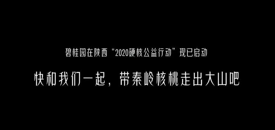 「案例挖掘机」领英劝你别做广告人，滴滴造节瞄准“它经济”？