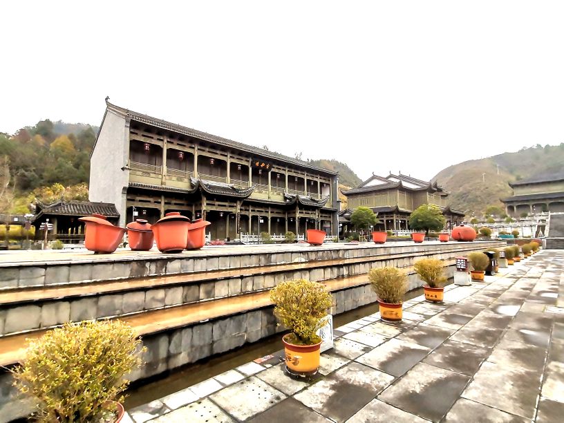 都匀茶旅小镇,都匀毛尖茶园基地游玩