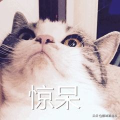 在深圳，这些岗位可以年入百万！你工资月入多少？分享一下