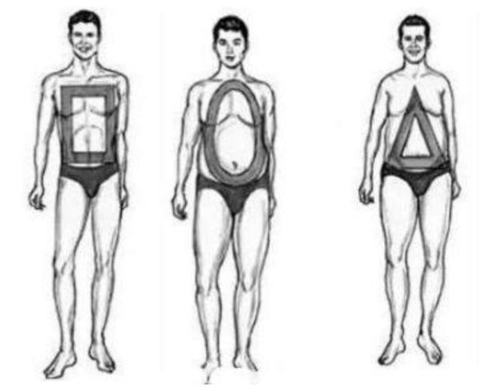 wildfieldhealth怎么样,wildfieldhealth天天喝酸奶好吗