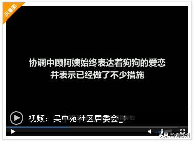 小区邻居养了三条狗违法吗,小区业主养了多条狗