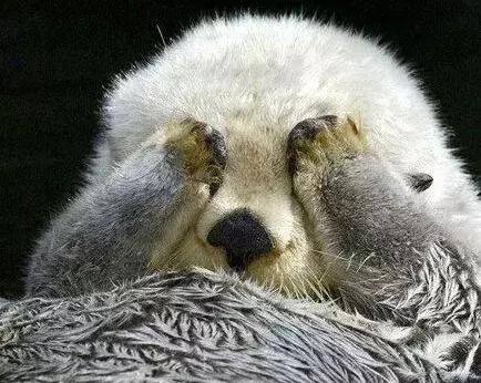 不超过十块钱的实用好药,实用不贵的皮肤药膏