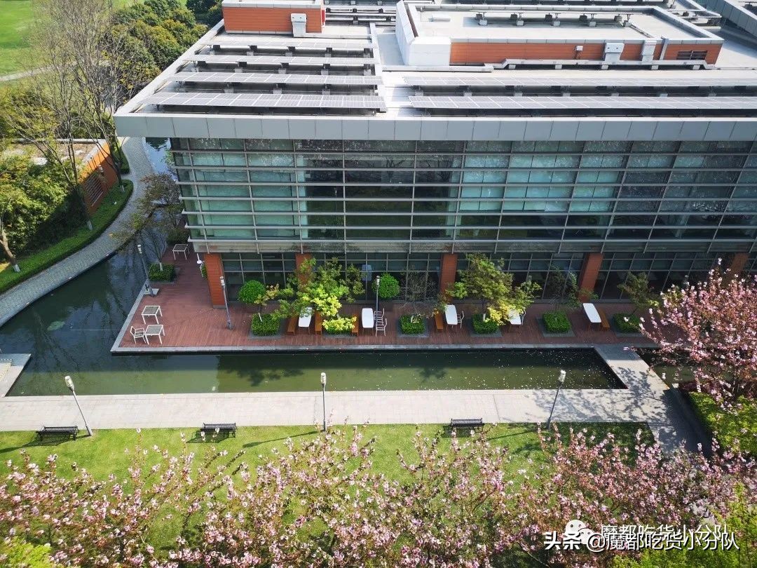 比尔盖茨的员工,比尔盖茨和员工