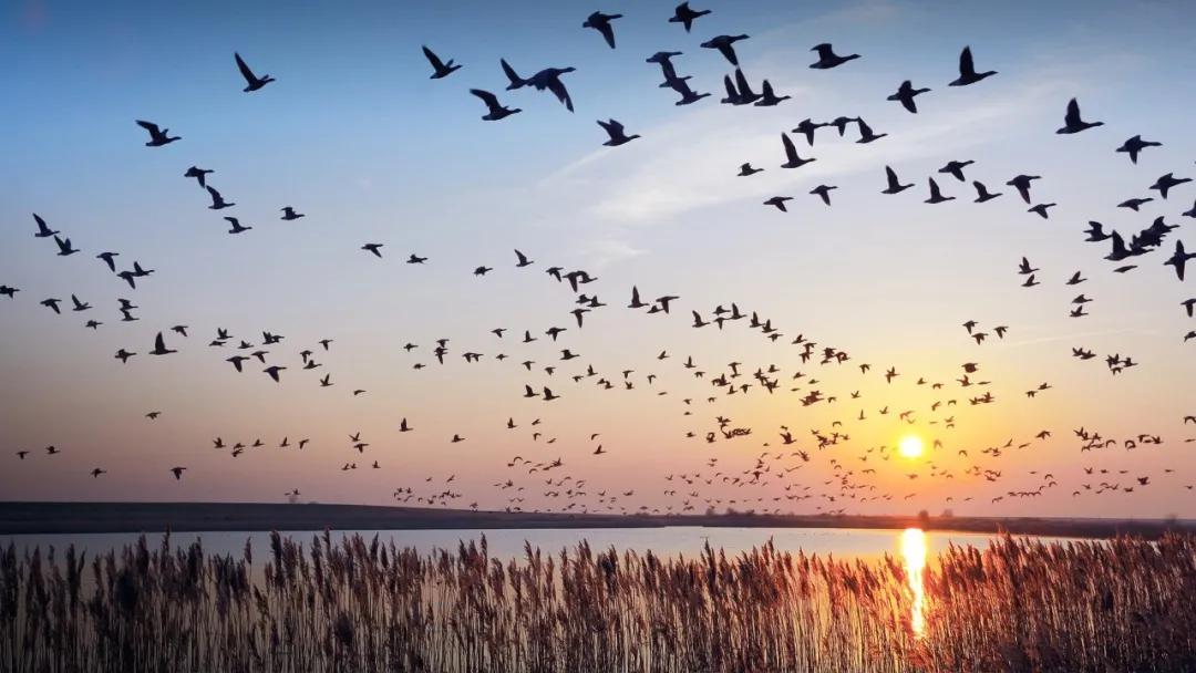 河北唐山海岛旅游攻略,唐山海岛