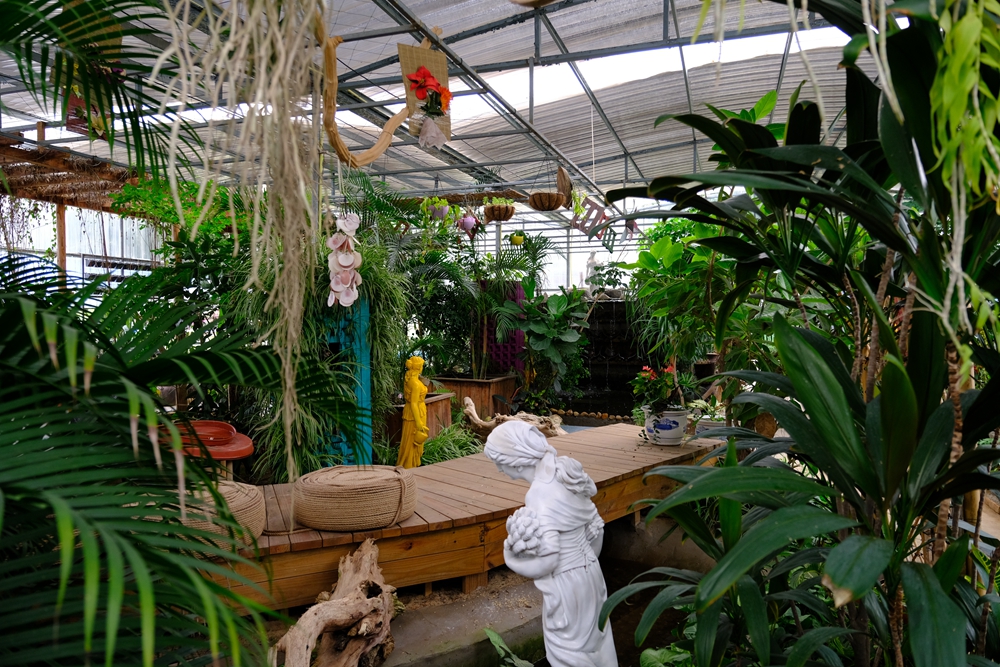 福建六鳌海滩,得天独厚图片