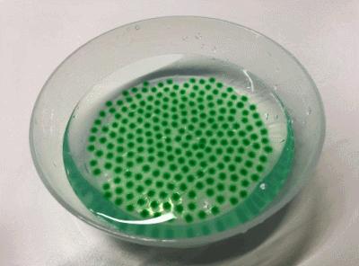 让十岁孩子注意力集中的玩具,2022国外抖音爆火的儿童玩具