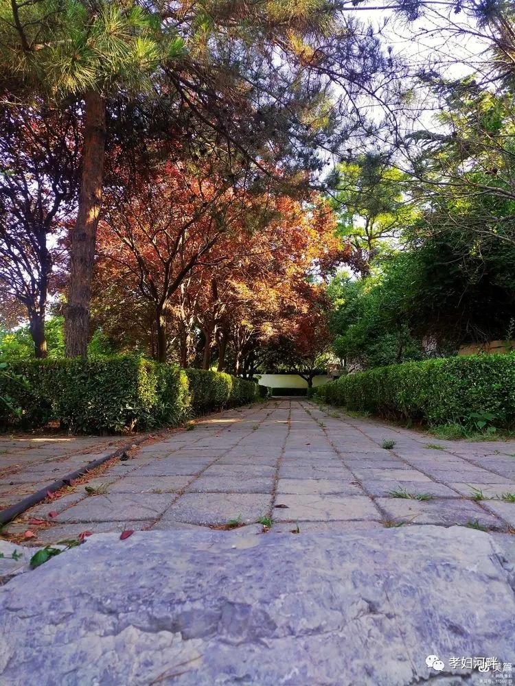 博山初夏风景图片,在博山公园藏着独特的宁静