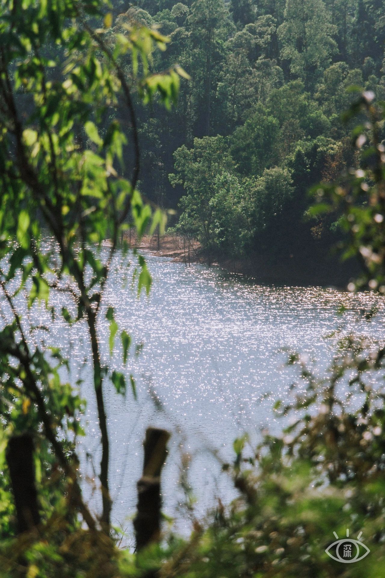 深圳各区最美的地方,深圳6个绝美地方