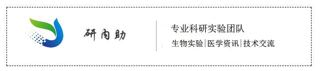 美国癌症中心：阻断胎盘生长因子能够改善妊娠高血压和先兆子痫