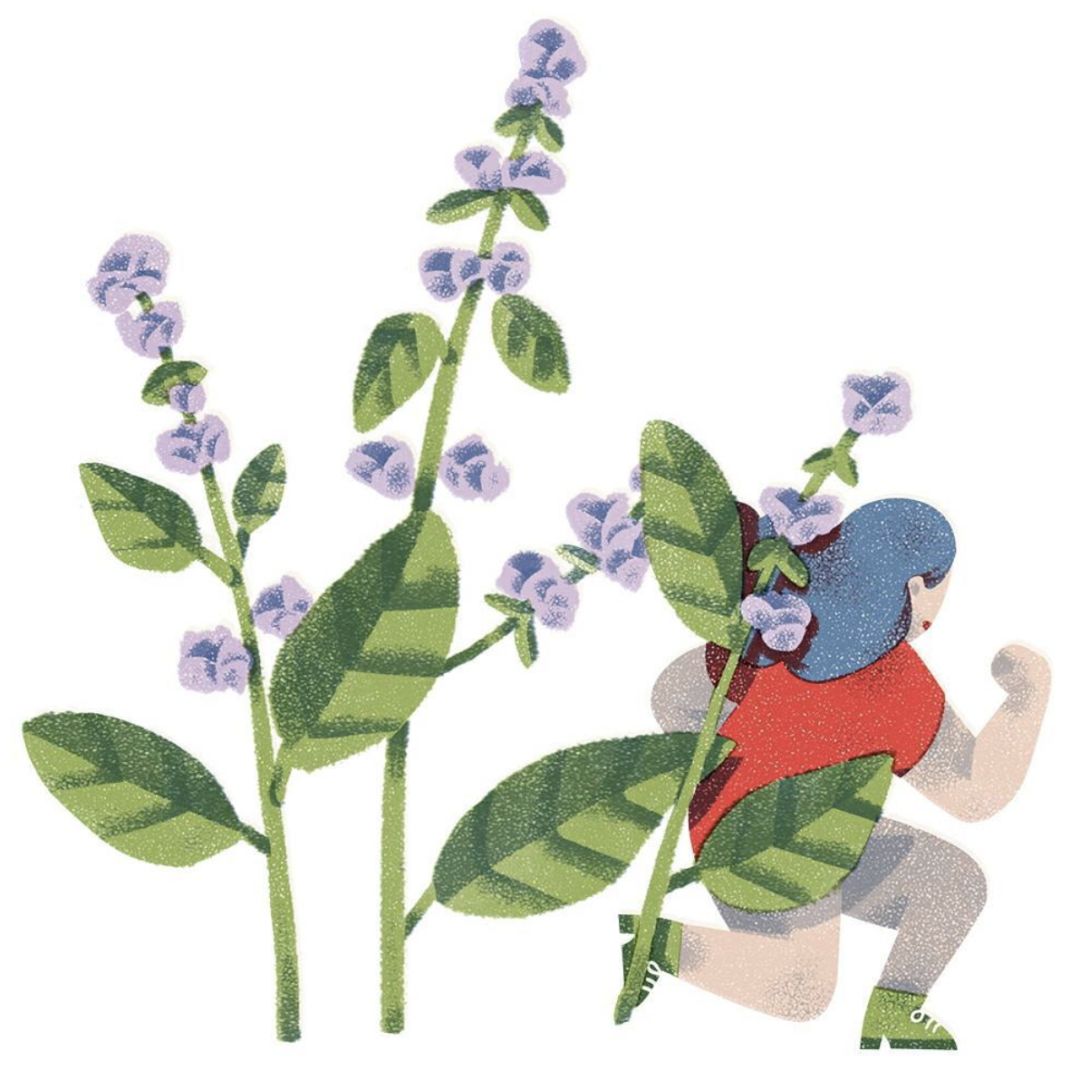 精妙的细节和色彩插画,插画作品想象力是最吸引人的色彩